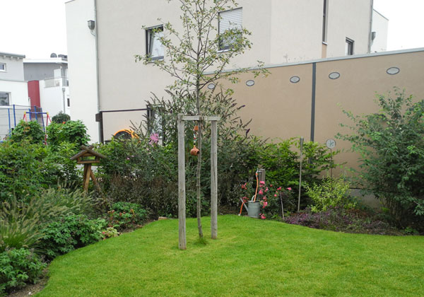 Pflanzung & Pflege